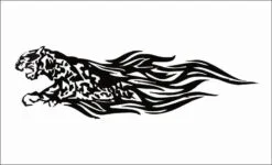 Flaming-animal-6