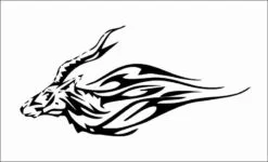 Flaming-animal-12