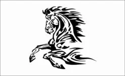 Flaming-caballo