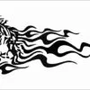 Flaming-animal-21