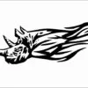 Flaming-animal-33