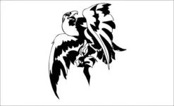 Aguila-iolair