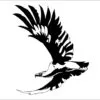 Aguila-orol
