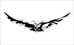 Aguila-aglo