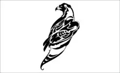 Aguila-aigle
