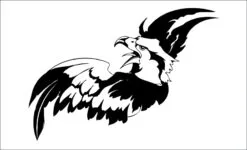 Aguila-eryr