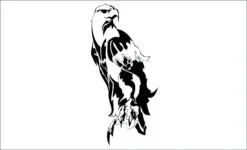 Aguila-ugo