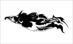 Aguila-aquilae