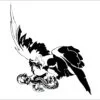 Aguila-helang