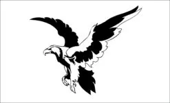Aguila-ajkla