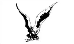 Aguila-ekara