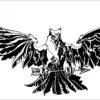 Aguila-allqamari