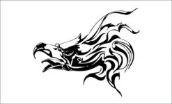 Aguila-joobira