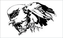 Aguila-orzeł