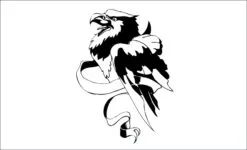 Aguila-orao