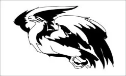 Aguila-acula